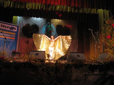 7. Valentinov koncert 2013 9